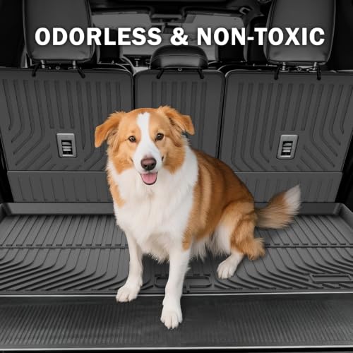 Floor Mats for 2025 (14 Count)