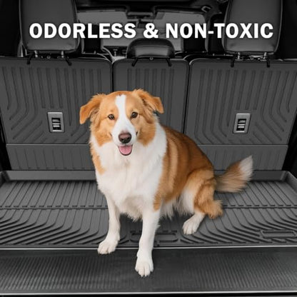 Floor Mats for 2025 (14 Count)