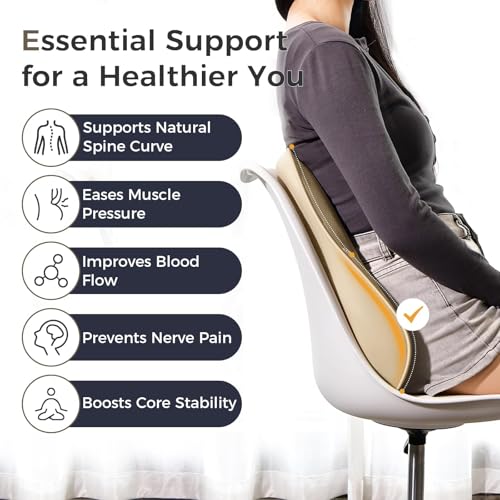 Lumbar Support Pillow for Car