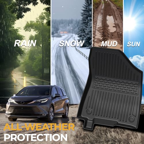 Floor Mats for 2021