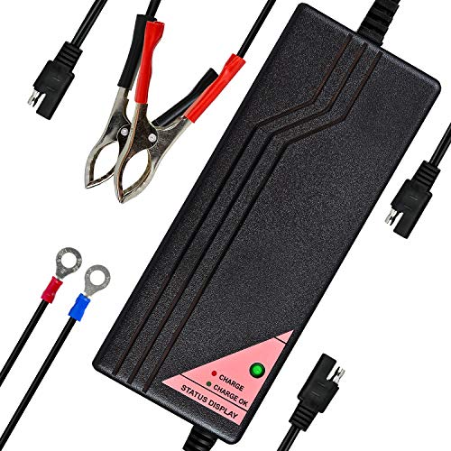 12.8V 5A Smart Charger for Lithium LiFePO4 Deep Cycle Rechargeable Batteries