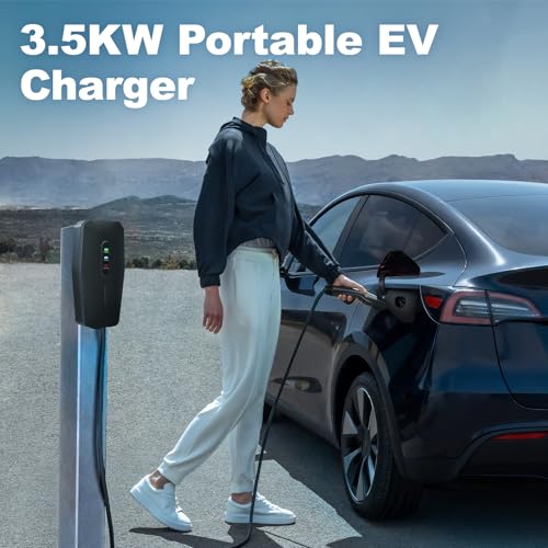 Level 1 2 Tesla Charger 16Amp