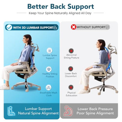 Lumbar Support Pillow for Office Chair Car Back Support Pillow