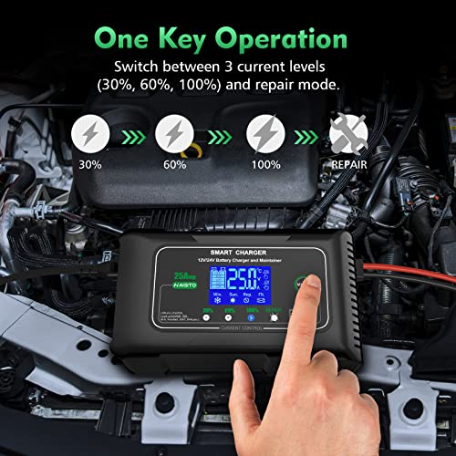 25 Amp Lithium Battery Charger