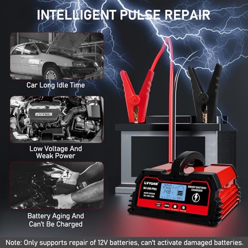 20Amp Smart Car Battery Charger
