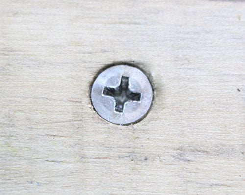 4 x 5 8" Stainless Steel Flat Head Phillips Wood Screw (100 Count)