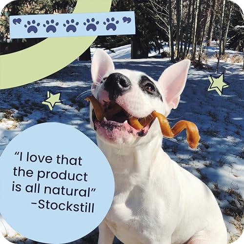 Natural 7” Braided Bully Sticks for Dogs (25 Count)