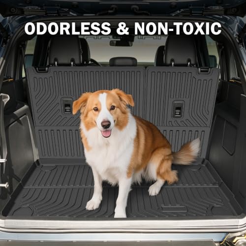 Floor Mats for 2021 (12 Count)