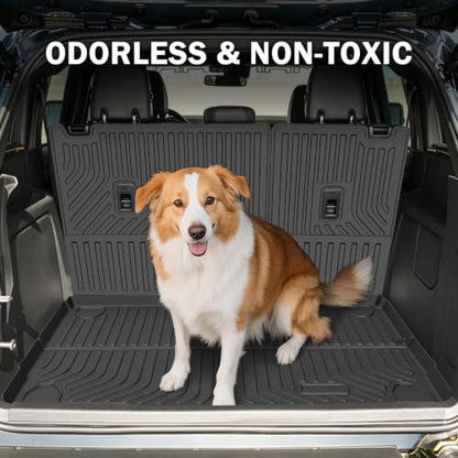 Floor Mats for 2021 (12 Count)
