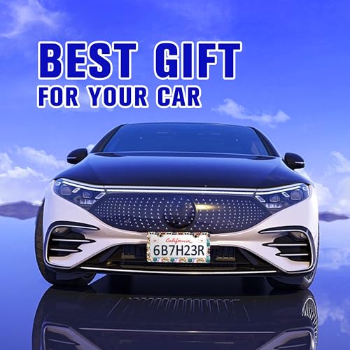 Funny Cat Pet License Plate Frame Stainless Steel Car Parts 2 Hole 6x12 in