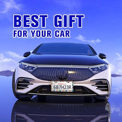Funny Cat Pet License Plate Frame Stainless Steel Car Parts 2 Hole 6x12 in