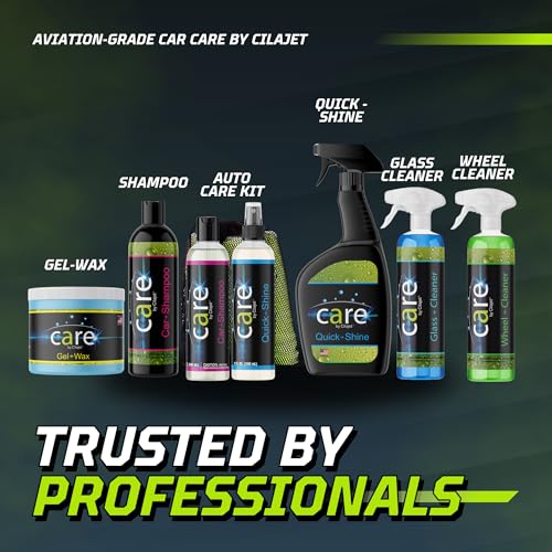 Care Car Shampoo and Soap (16 Fl Oz)