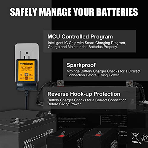 Smart Battery Charger