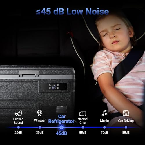 COOLER 12 Volt Car Refrigerator