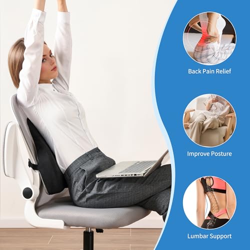 Lumbar Support Pillow for Office Chair