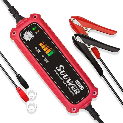 Automatic Battery Charger