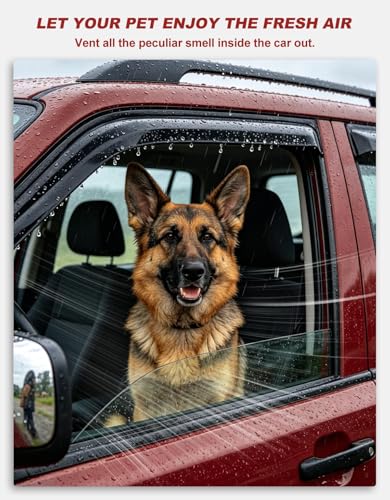 in Channel Window Visors Rain Guards for Toyota 4Runner 2025 (4 Count)
