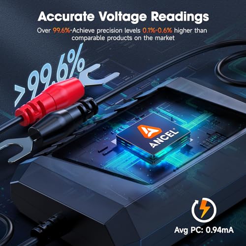 BM300 12V Battery Monitor