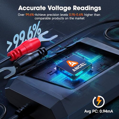 BM300 12V Battery Monitor