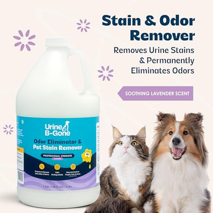 Urine B Gone Enzyme Cleaner for Human (128 Fl Oz)