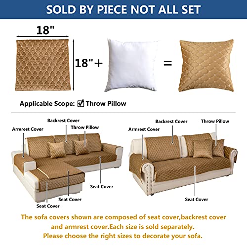 Throw Pillows