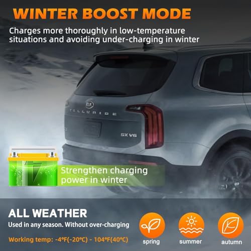 12V 24V Heavy Duty Car Battery Charger
