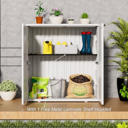 Indoor Outdoor Storage Cabinet with Doors and Shelf
