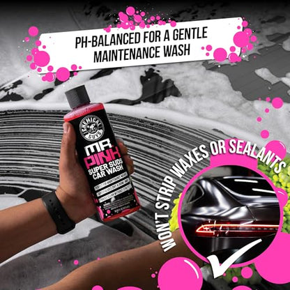 17 Piece Car Detailing Kit (64 Fl Oz)