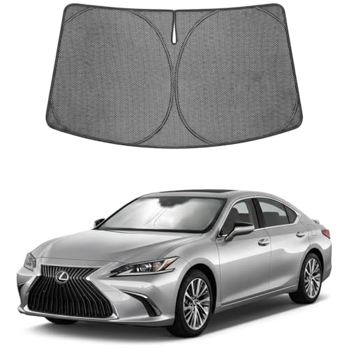 Custom Fit 2019