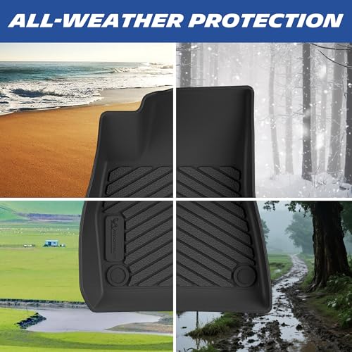Vehicle Mat for 2017