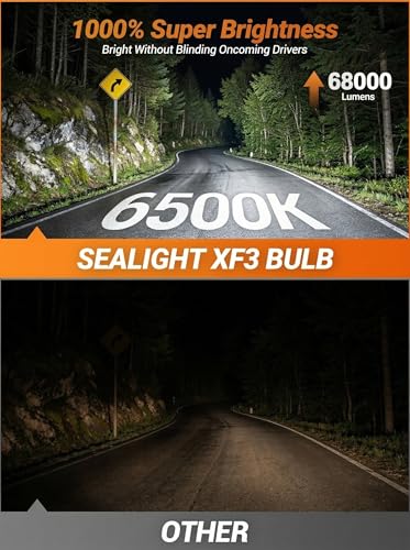 H13 H10 LED Light Bulbs Combo (4 Count)