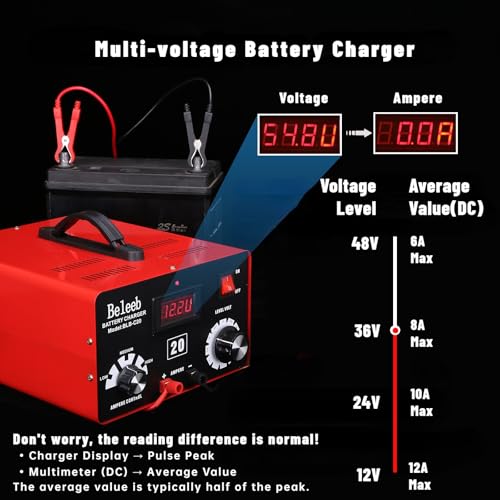 C20 Adjustable Battery Charger 12V 24V 36V 48V