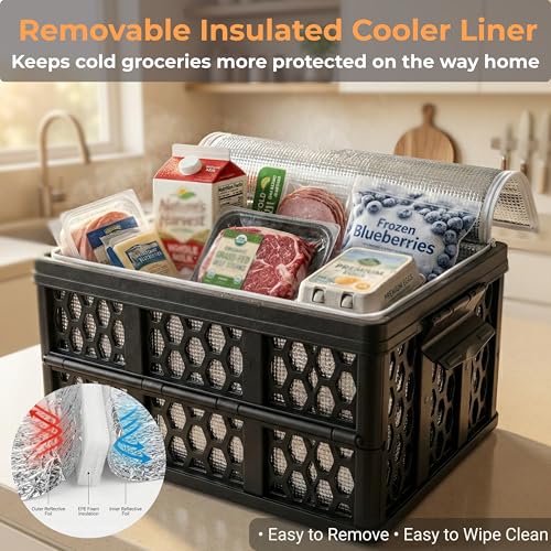 Trunk Crate Organizer with Cooler for Car