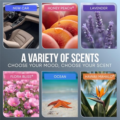 Car Air Freshener Vent Clip 5 Ct (5 Count)