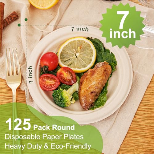7 Inch Paper Plates 125 (125 Count)