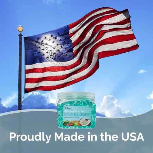 Odor Eliminator Gel (24 Ounce)