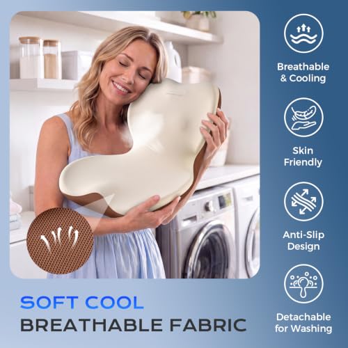 Car Seat Cushion and Lumbar Support Pillow One Piece