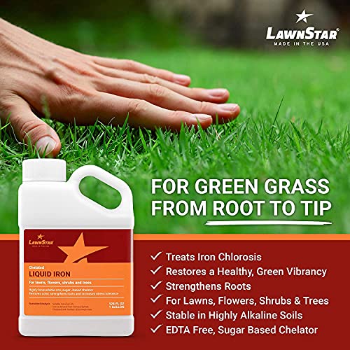 Liquid Iron for Lawns (128 Fl Oz)