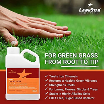 Liquid Iron for Lawns (128 Fl Oz)