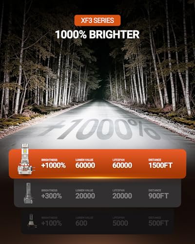 H11B LED Bulbs (2 Count)