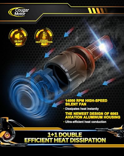 9005 H11 Bulbs