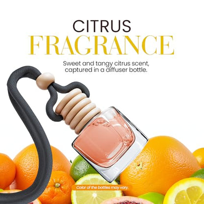 Car Air Freshener (4 Fl Oz)