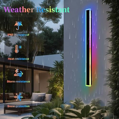 2 Pack Outdoor LED Wall Lights for House (2 Count)