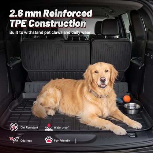 Floor Mats for Chrysler Pacifica 2017