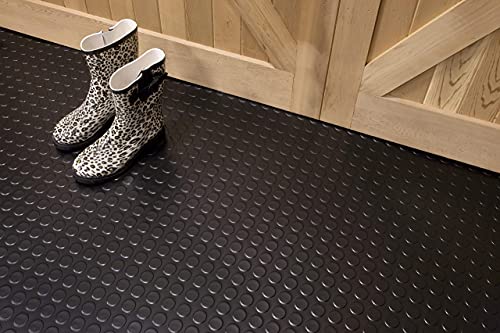 Large Coin Pattern Vinyl Garage Floor Protector Mat