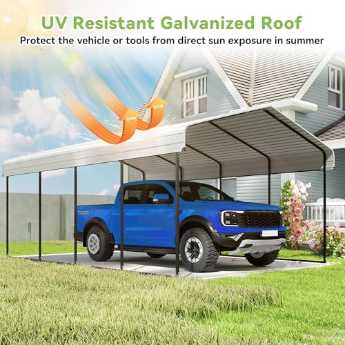 12x20FT Metal Carport