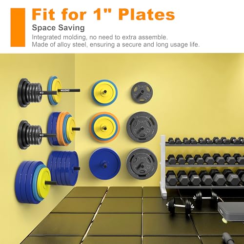 Weight Plate Rack