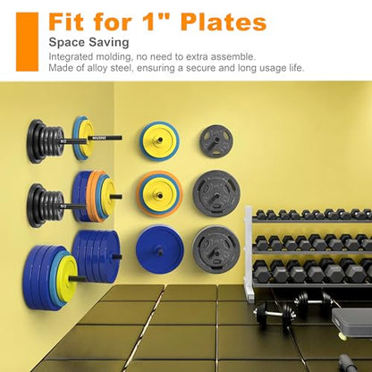 Weight Plate Rack