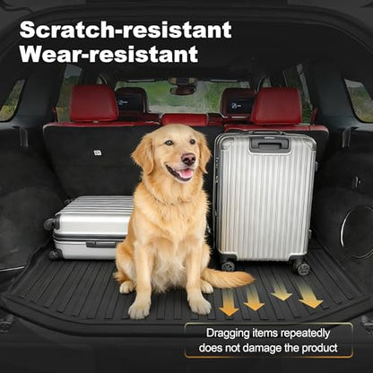 Cargo Mat Fit for 2011