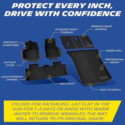 Vehicle Mat for 2025